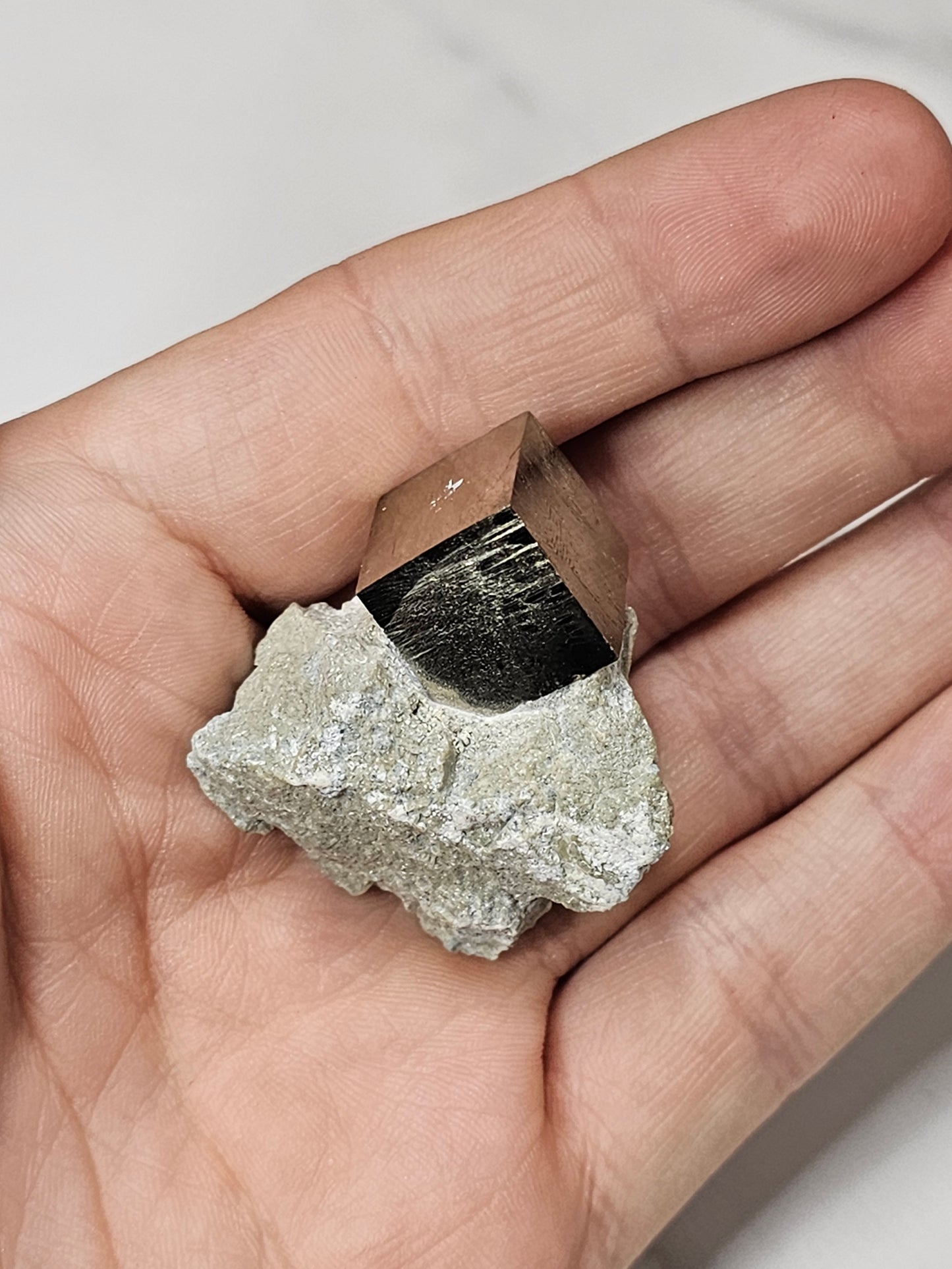 Cubic Pyrite in Matrix