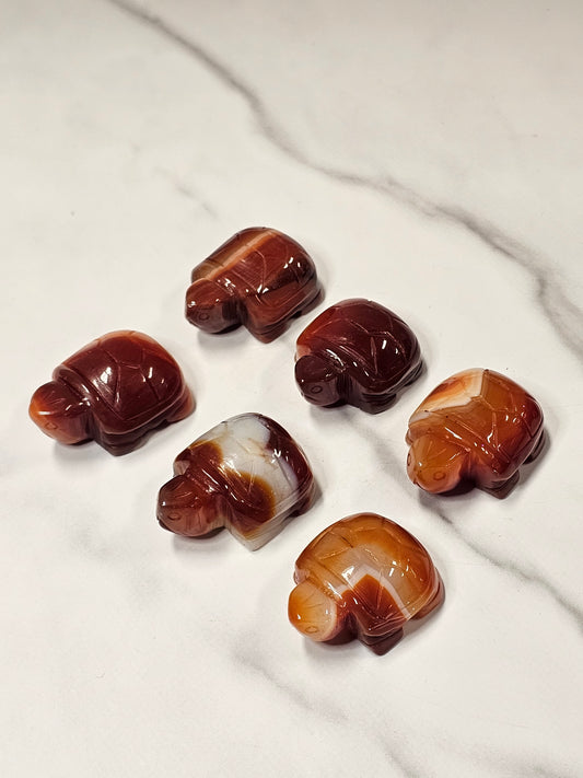 Carnelian Turtle Carving