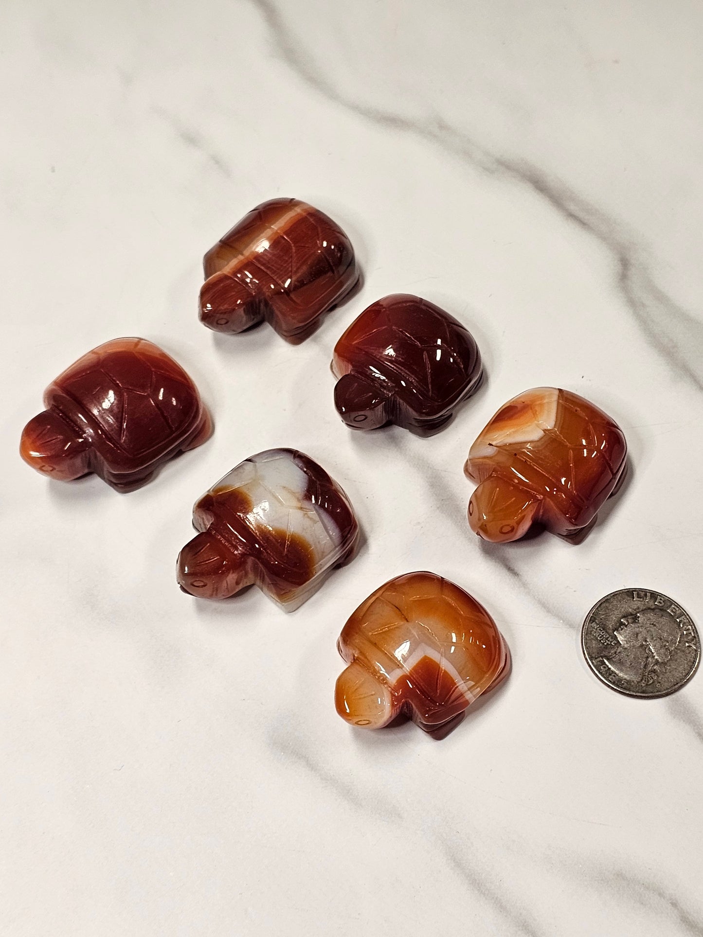 Carnelian Turtle Carving