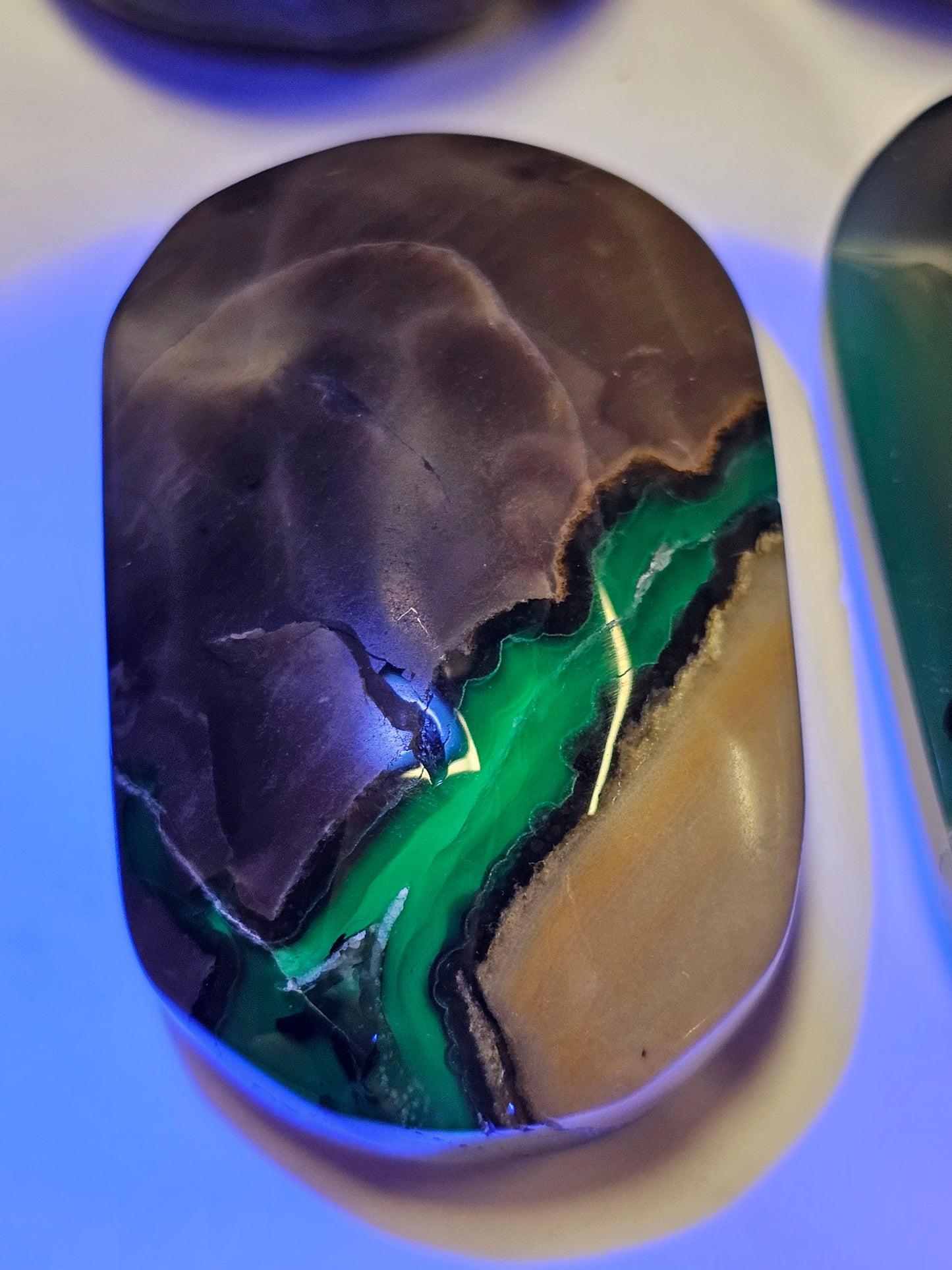 Volcanic Agate Palm Stone Small