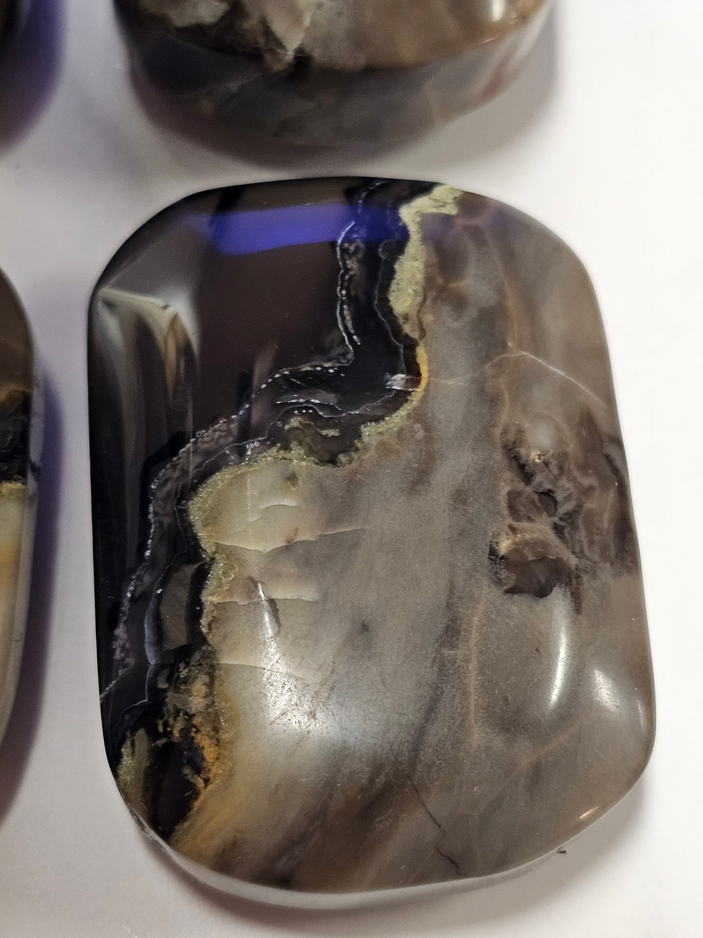 Volcanic Agate Palm Stone Small