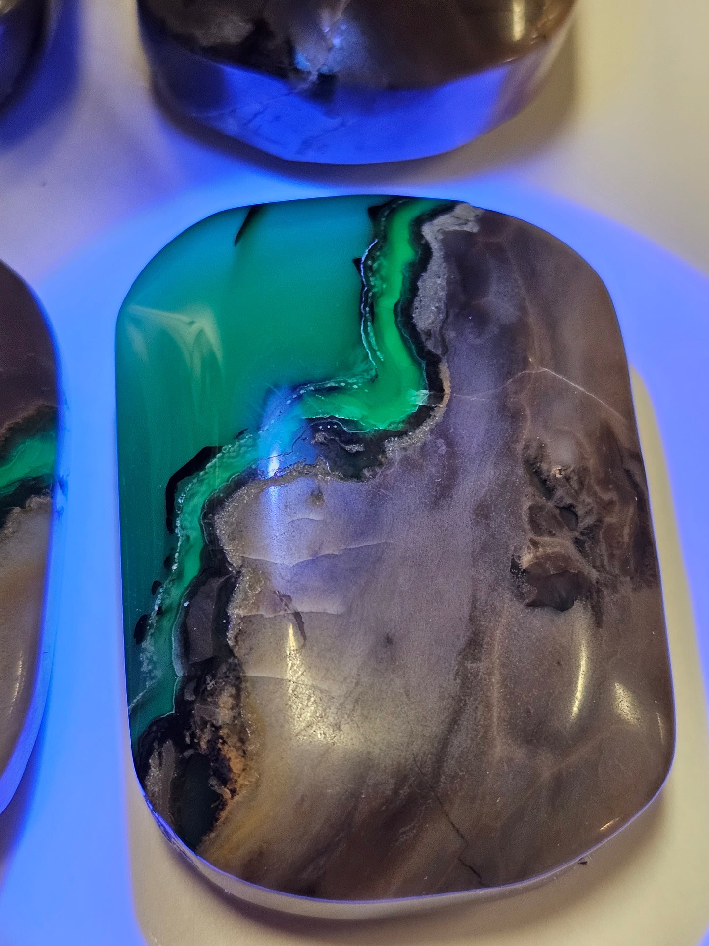 Volcanic Agate Palm Stone Small