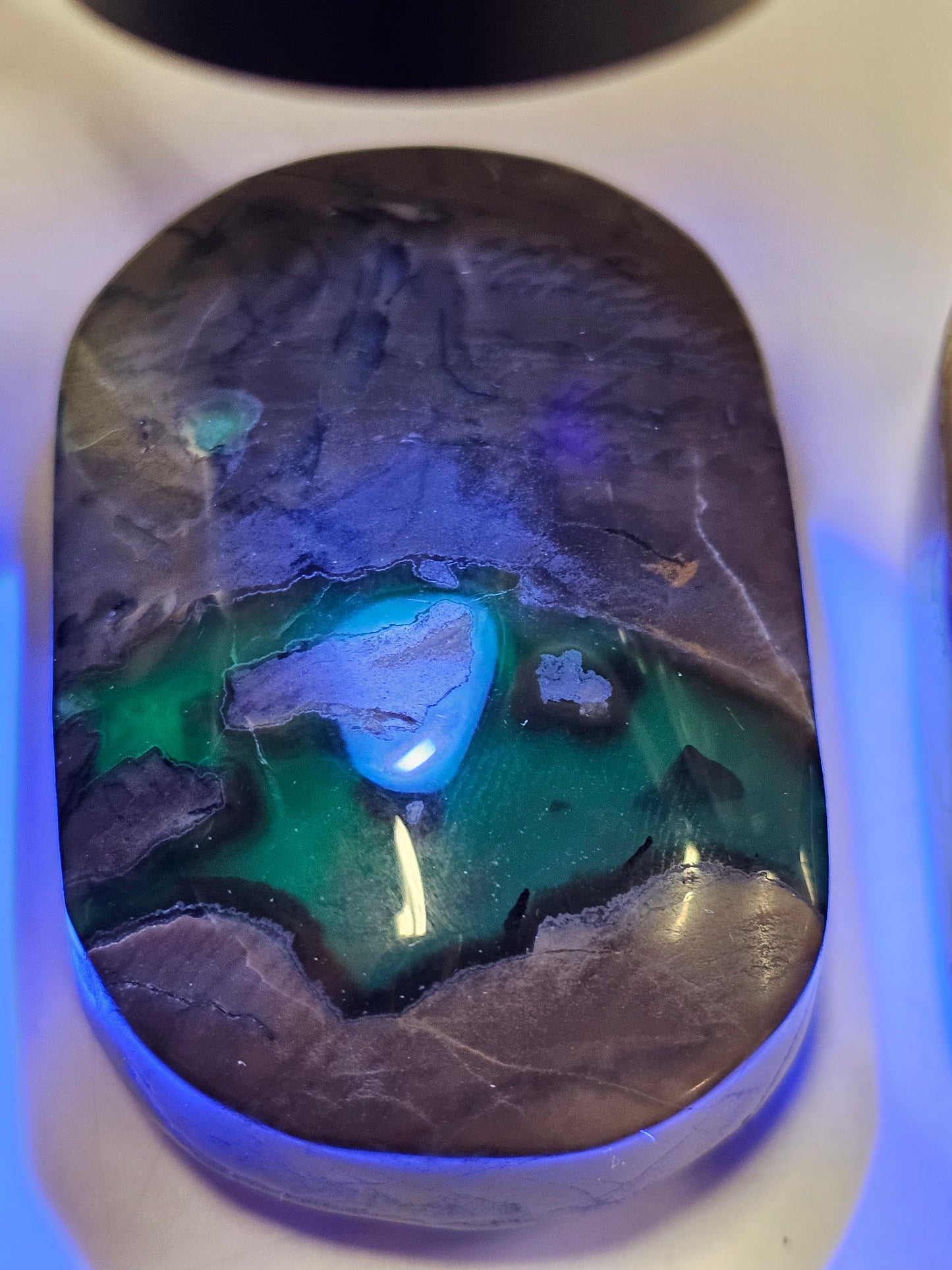 Volcanic Agate Palm Stone Small