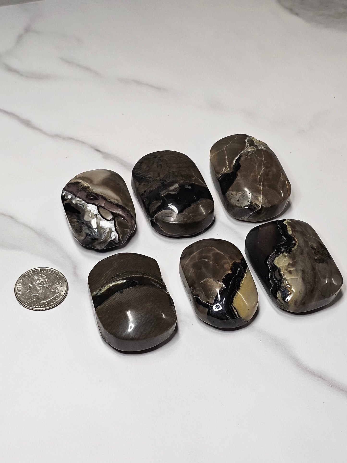 Volcanic Agate Palm Stone Small