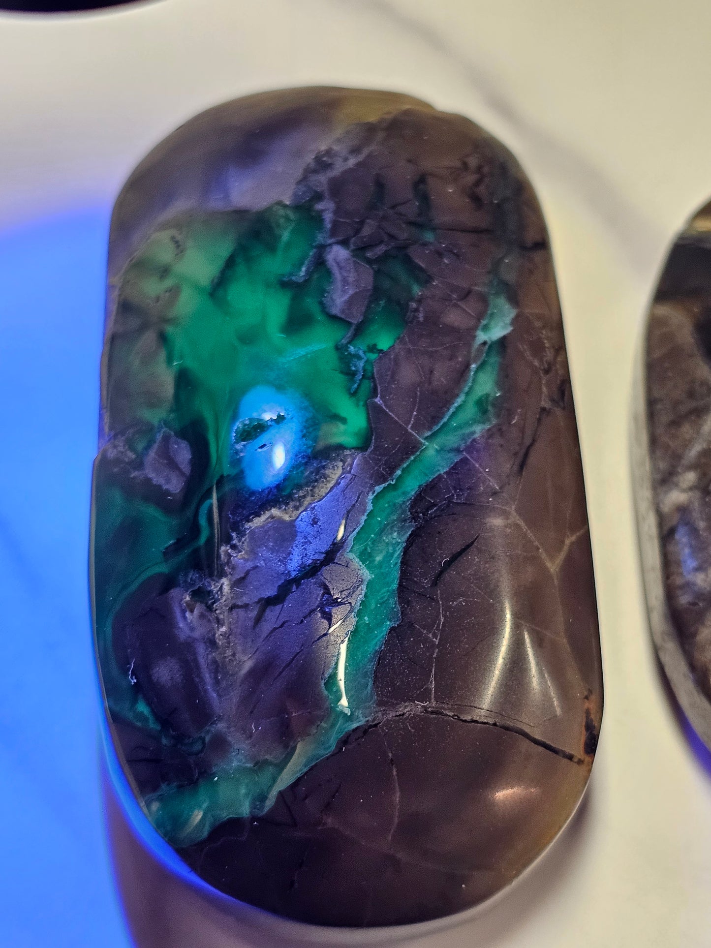 Volcanic Agate Palm Stone Large