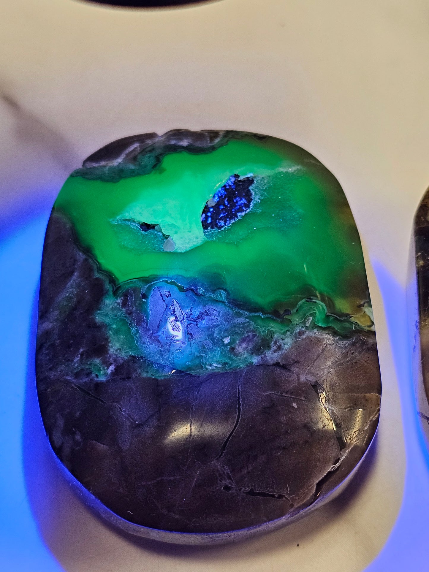 Volcanic Agate Palm Stone Large