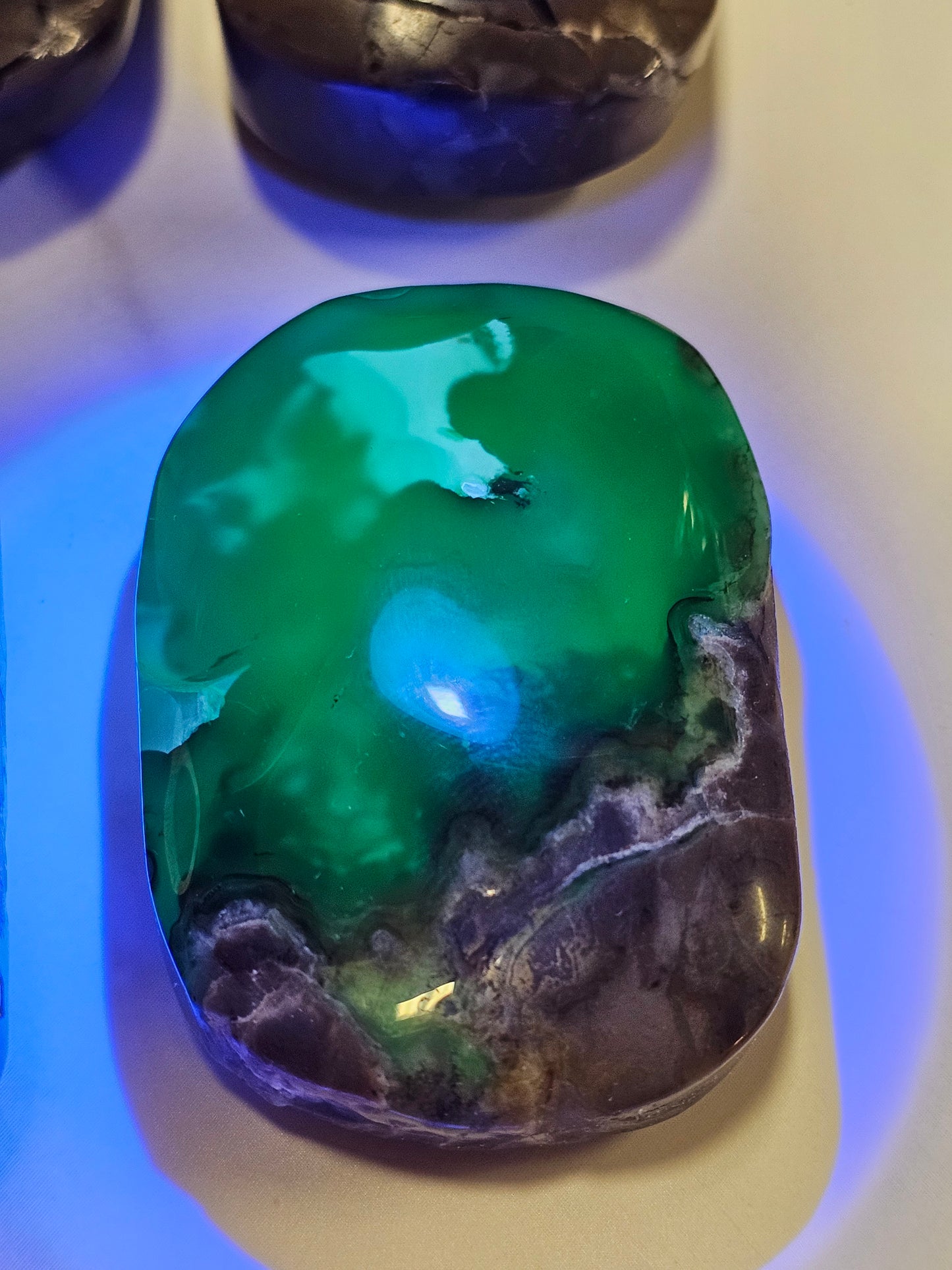 Volcanic Agate Palm Stone Large