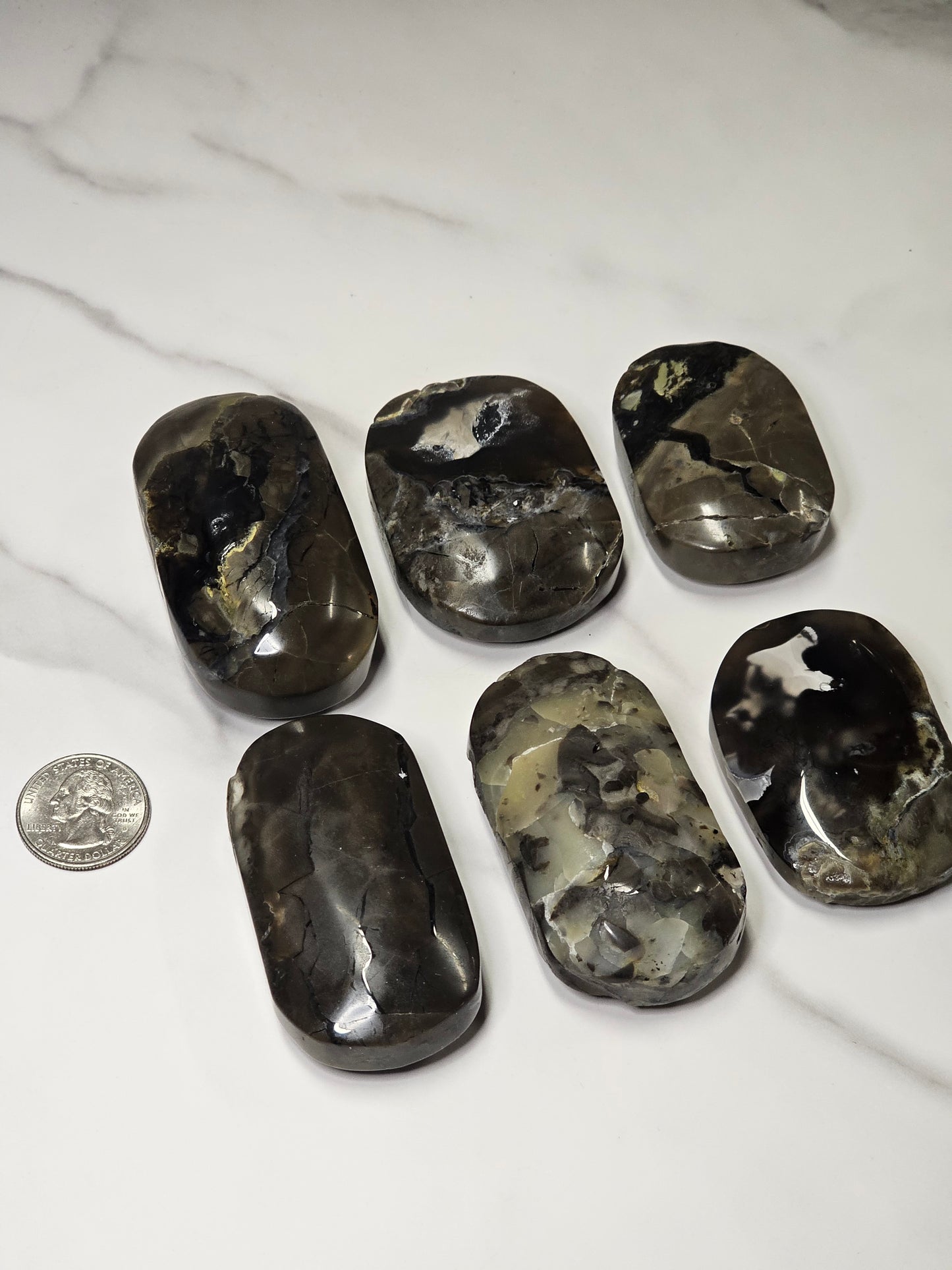 Volcanic Agate Palm Stone Large