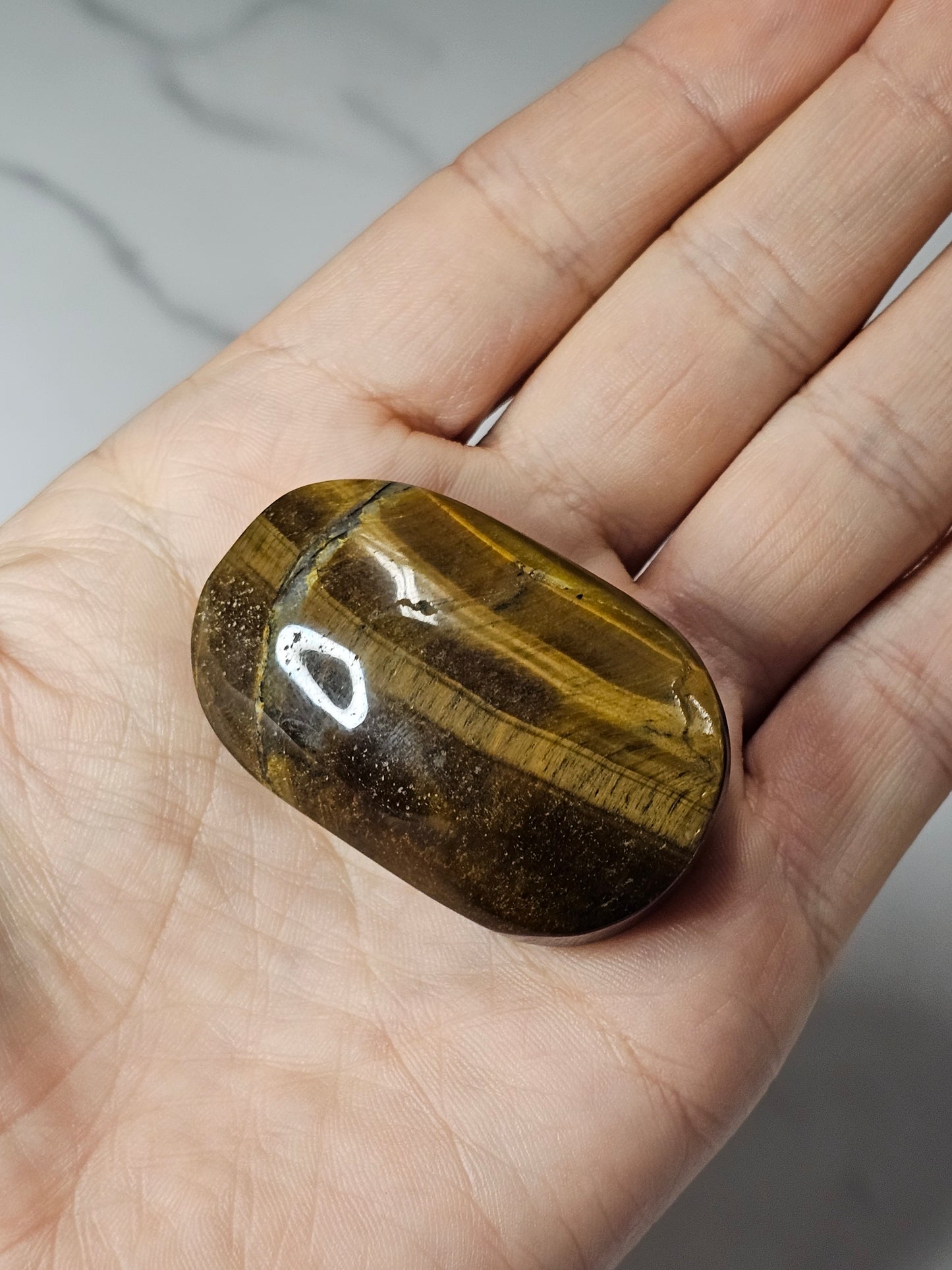 Tiger's Eye Palm Stone