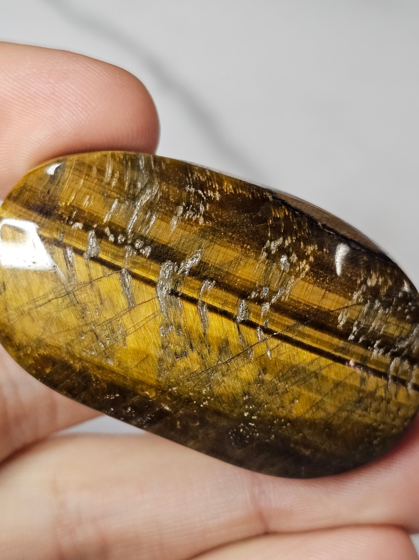 Tiger's Eye Palm Stone
