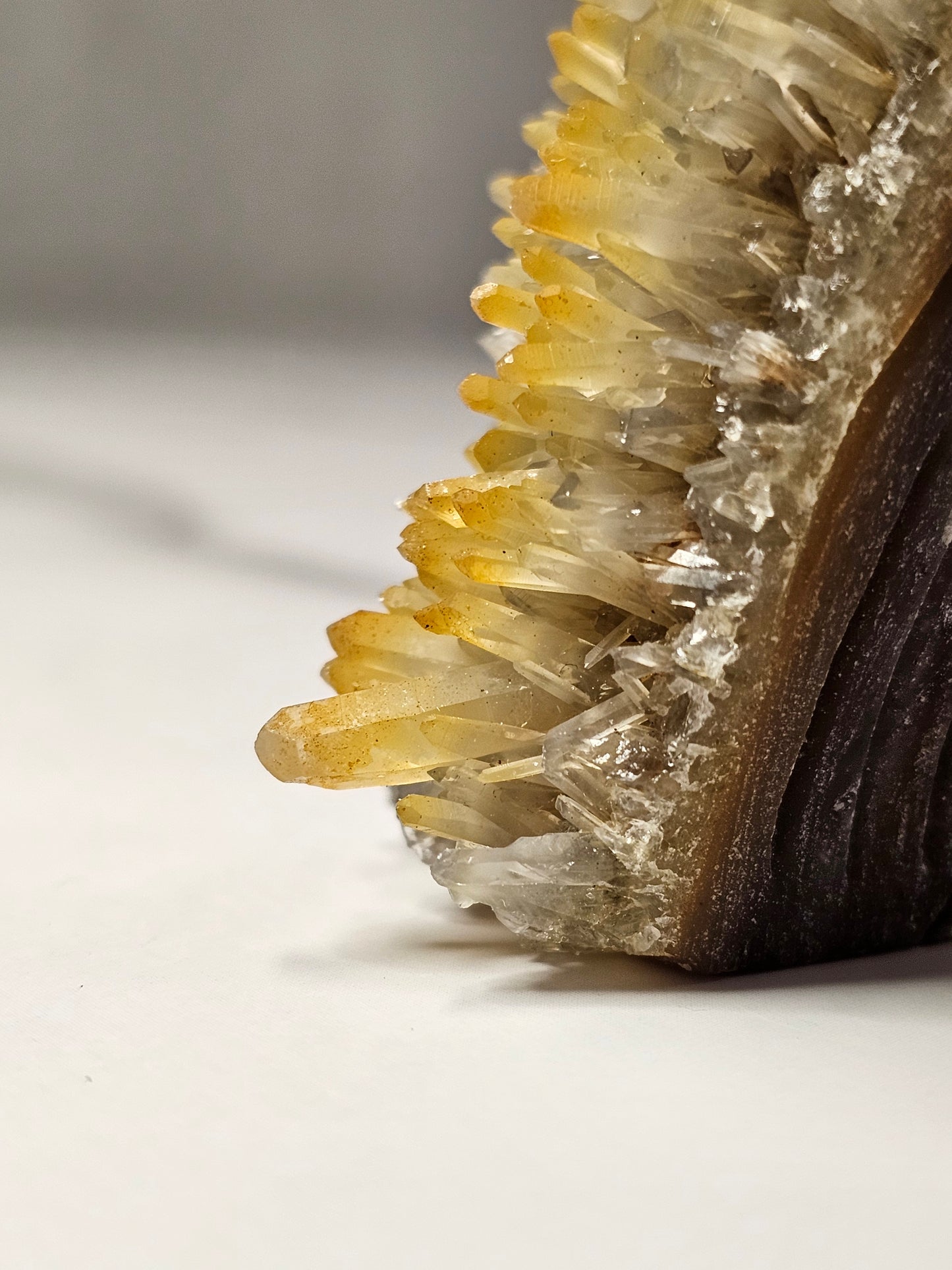 Citrine Cluster Squirrel Carving