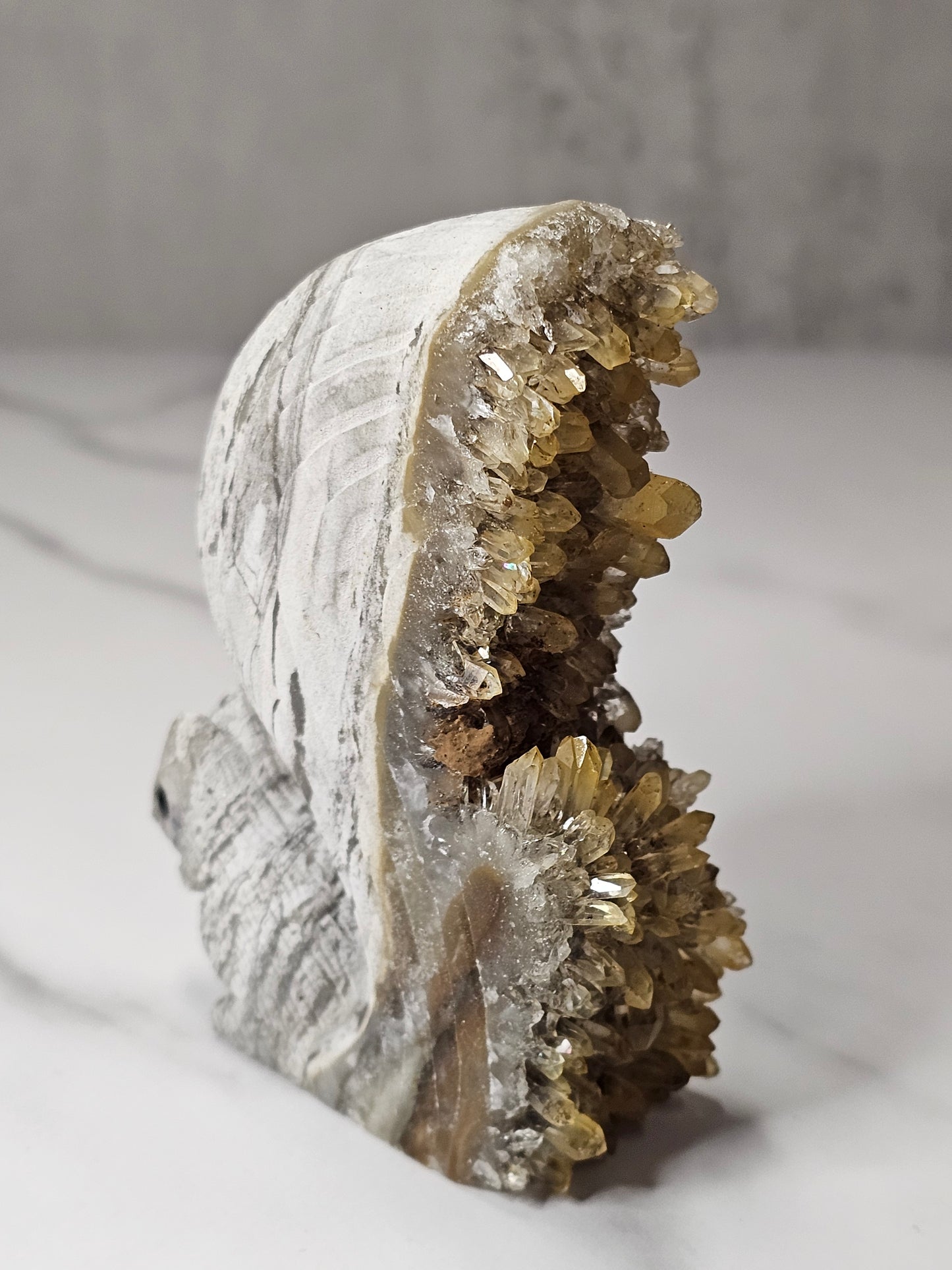 Citrine Cluster Squirrel Carving