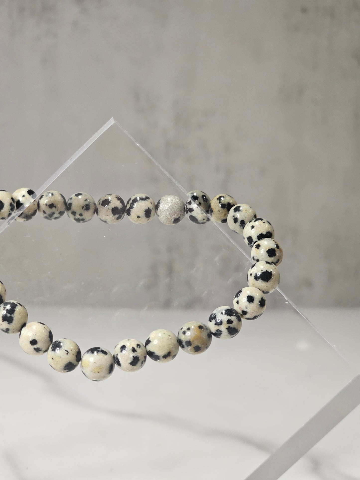 Dalmatian Jasper Stretchy Bracelet