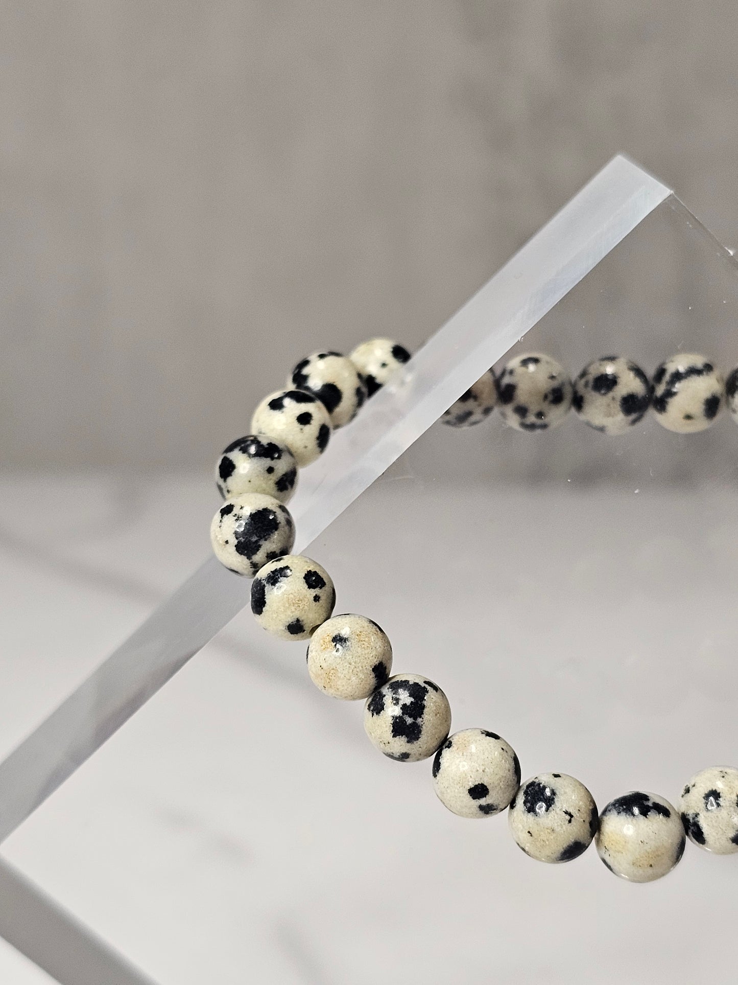 Dalmatian Jasper Stretchy Bracelet