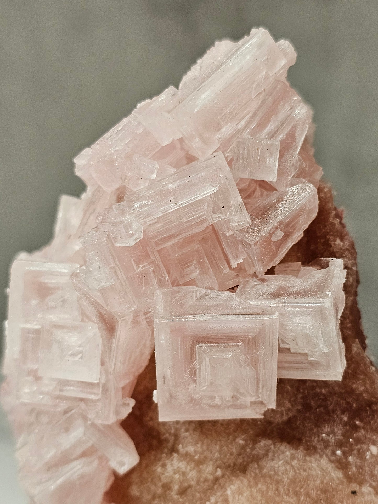 Pink Halite Specimen