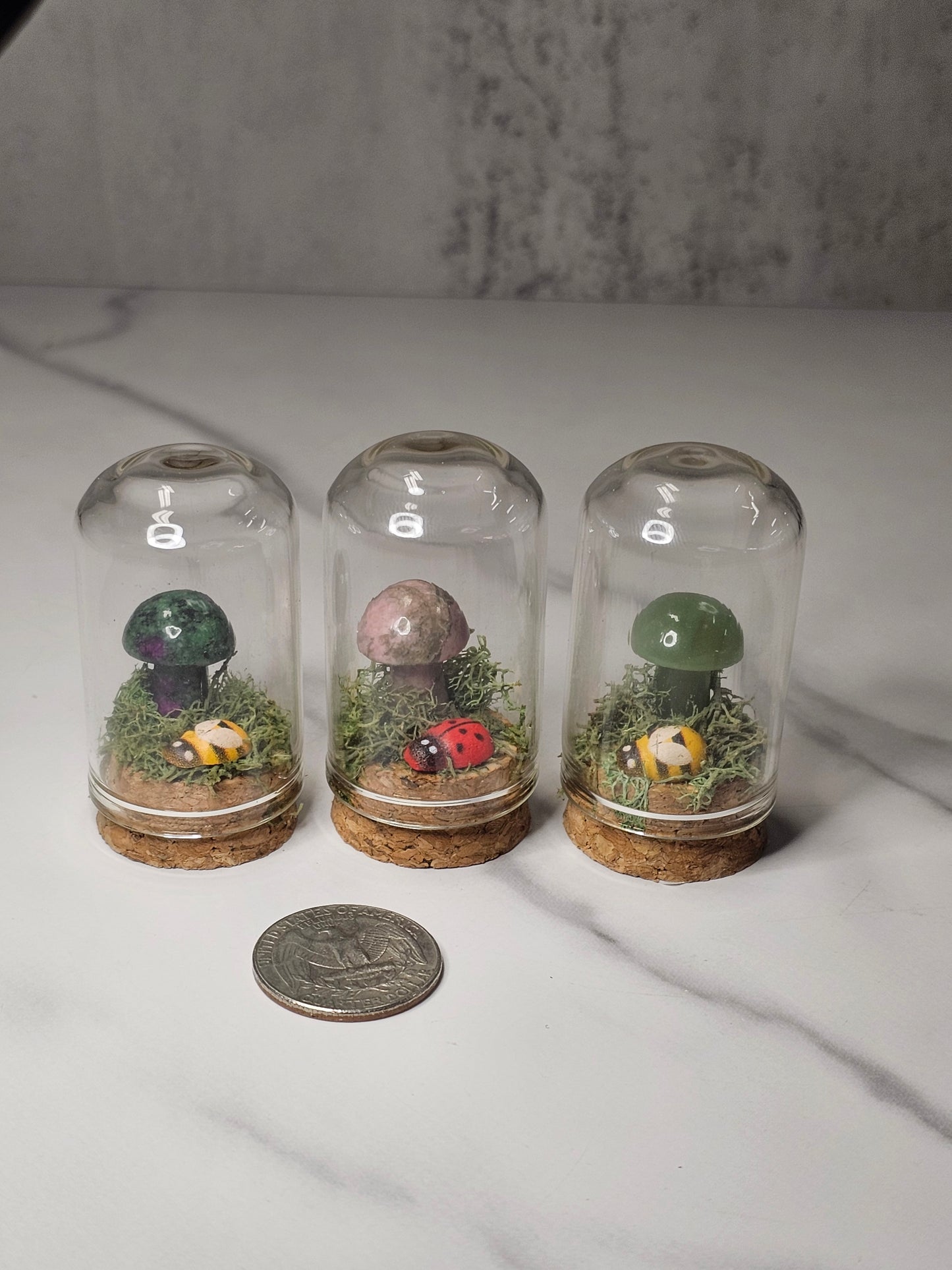 Crystal Mushroom Terrarium