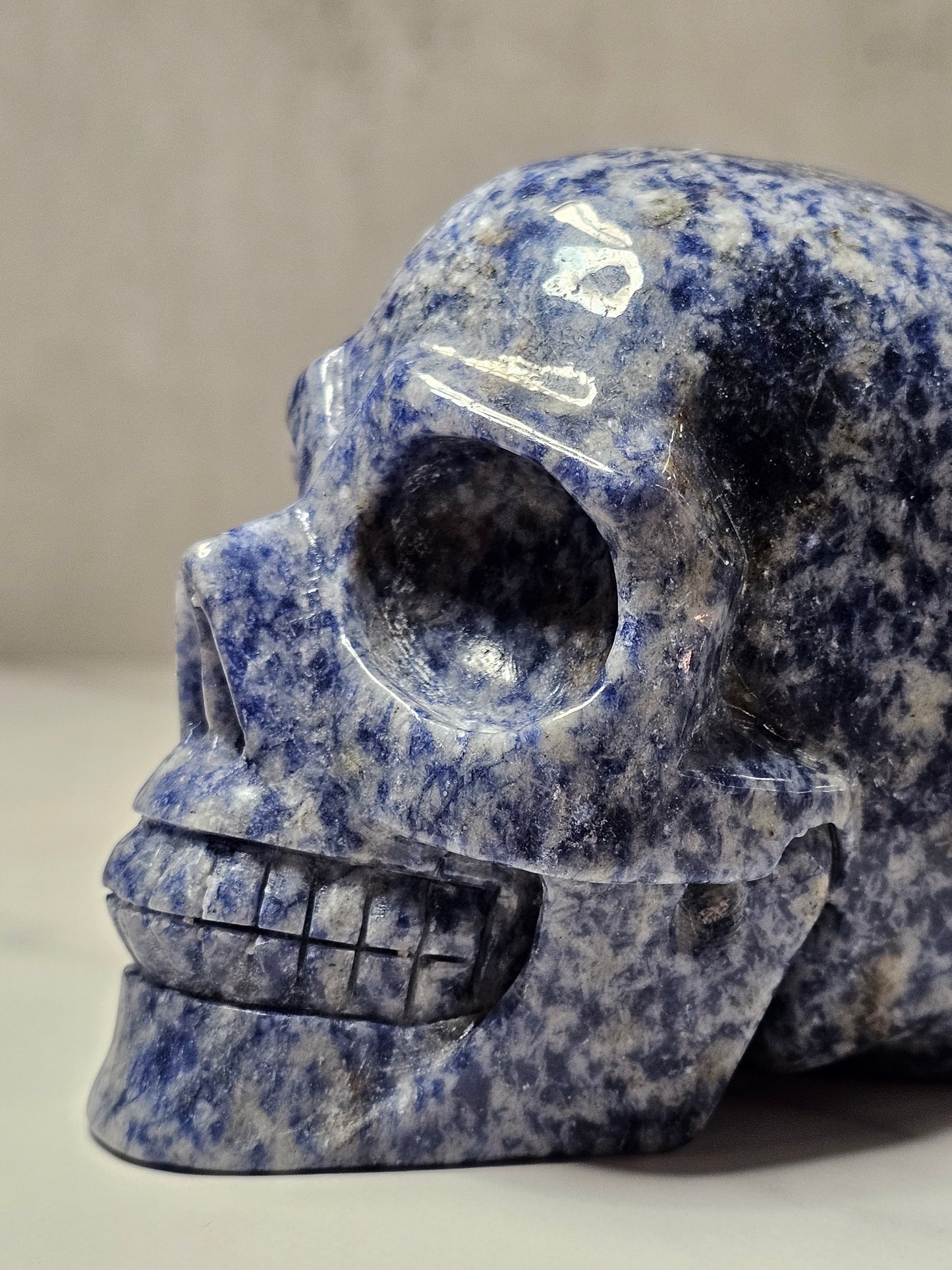 Sodalite Skull Carving