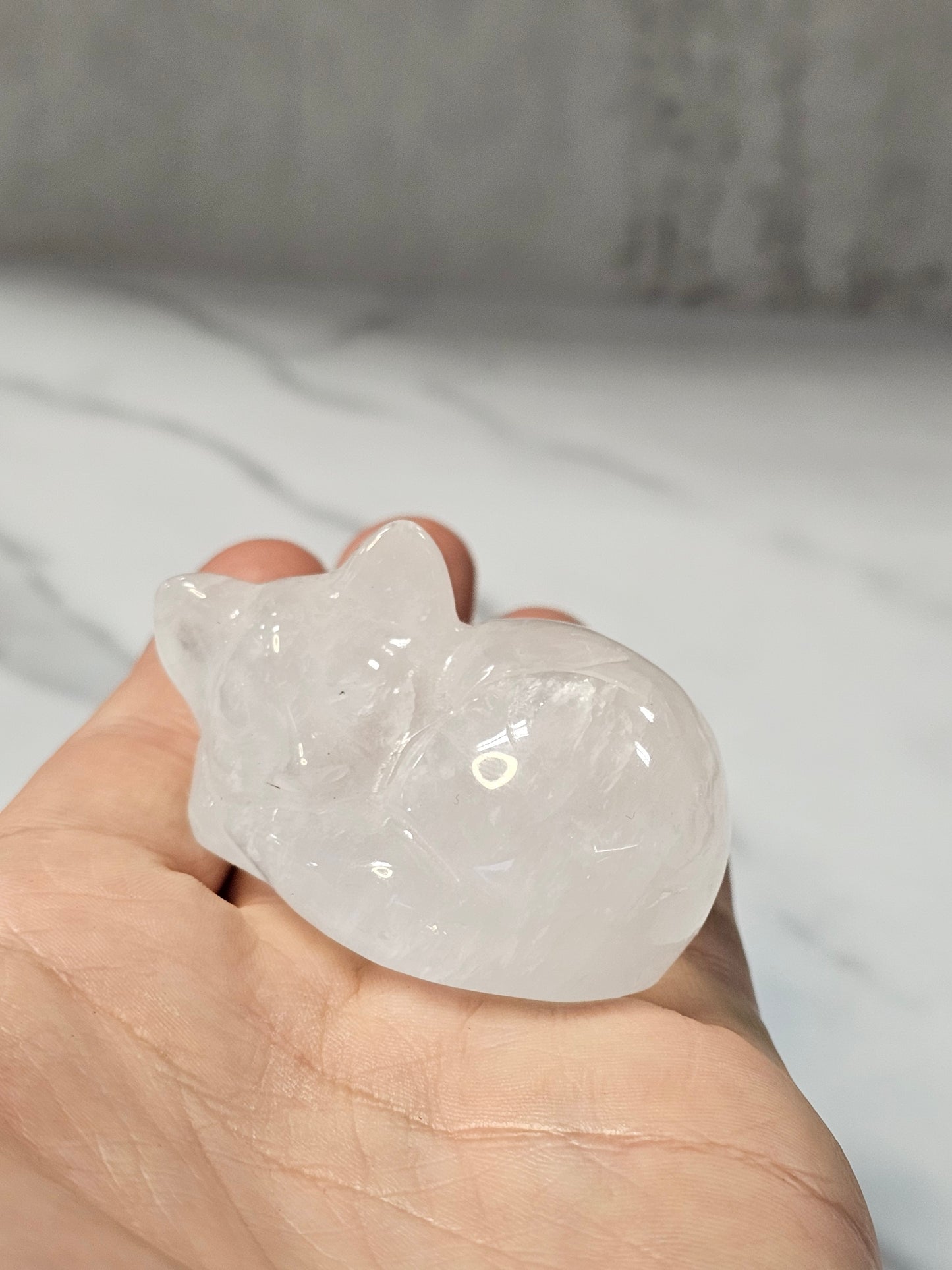 Clear Quartz Sleeping Cat Carving