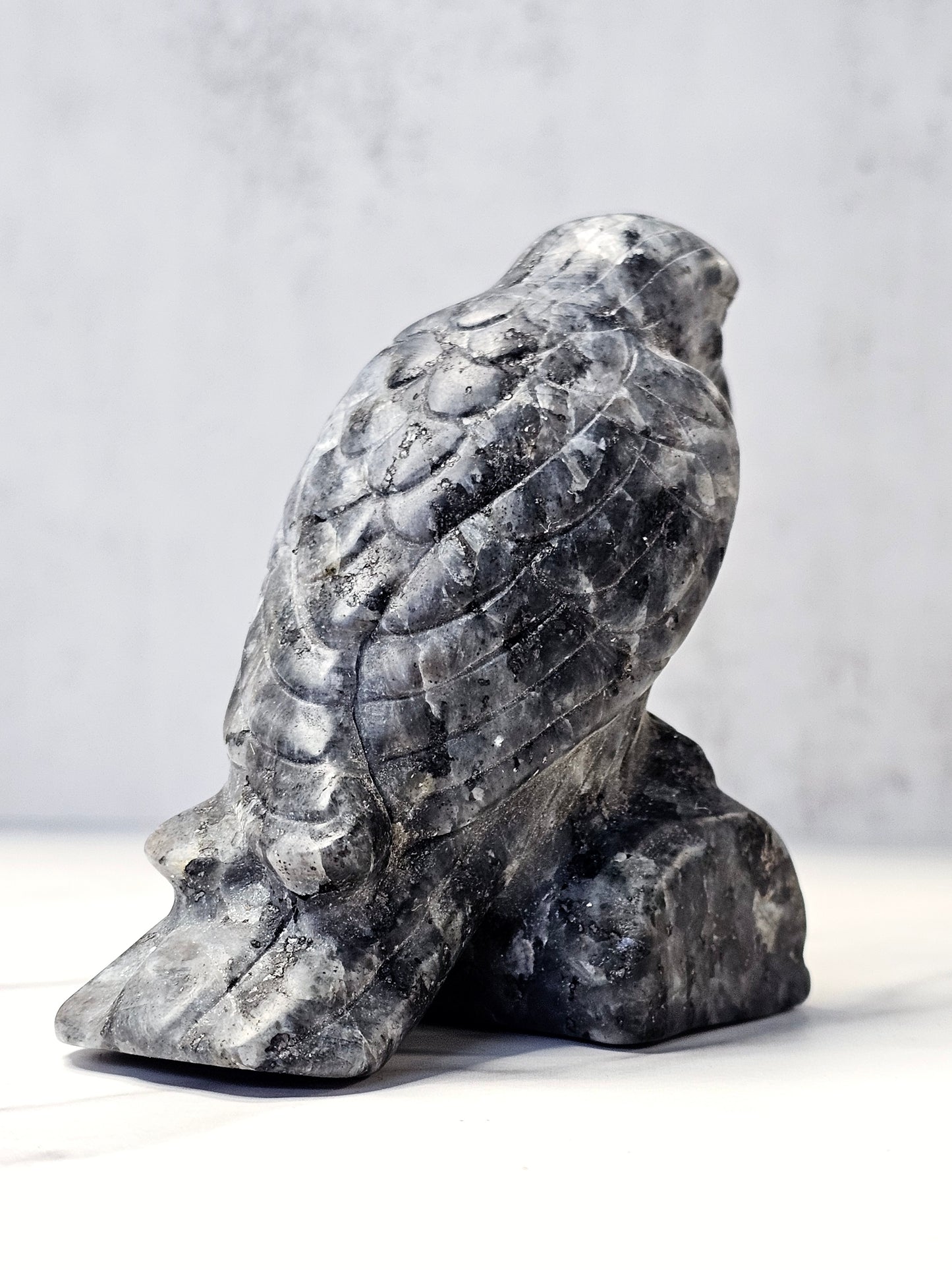 Larvikite Raven Carving