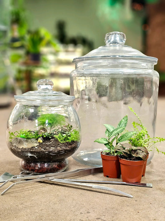 SSAB Terrarium Workshop 4/17/2026