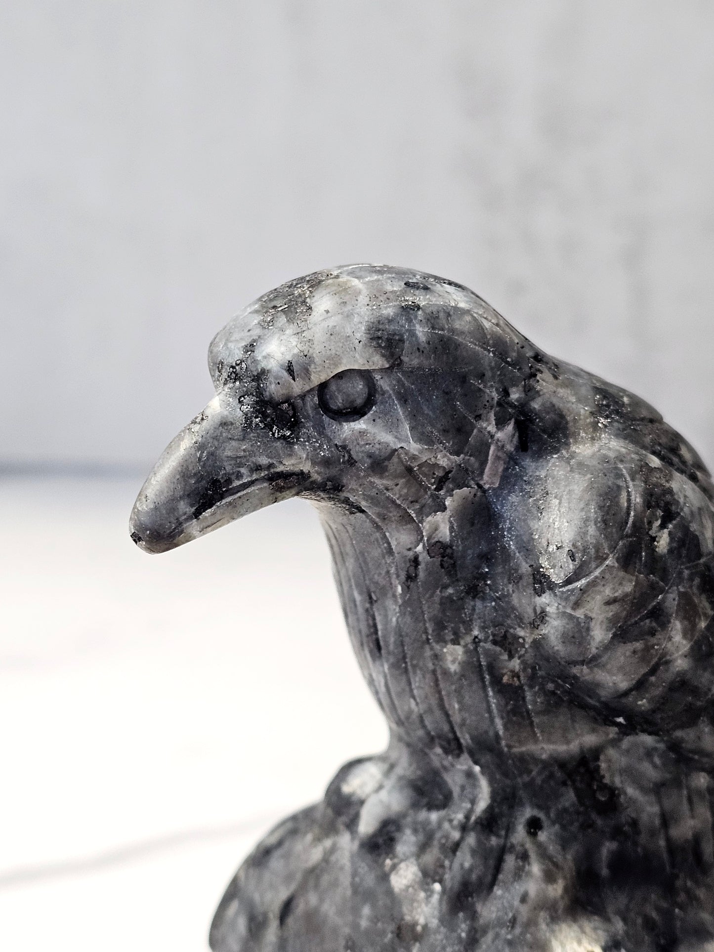 Larvikite Raven Carving