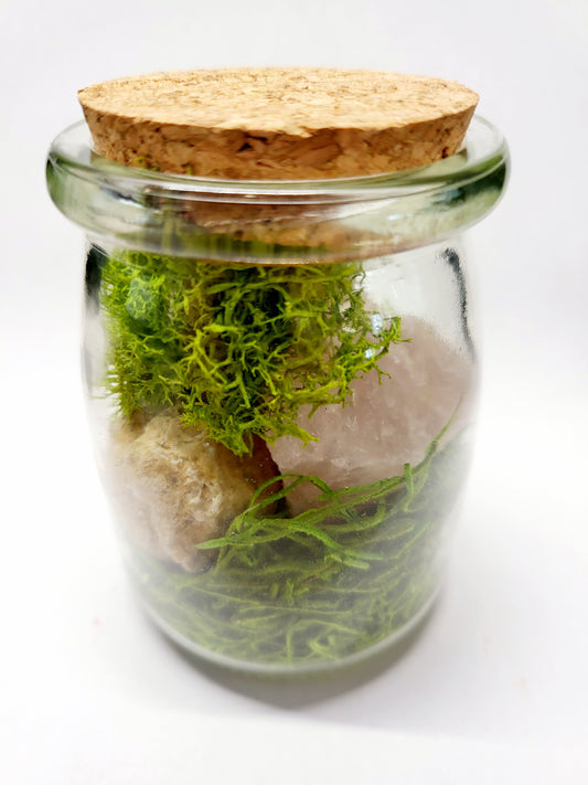 Rose Quartz Glass Terrarium with Break Your Own Geode
