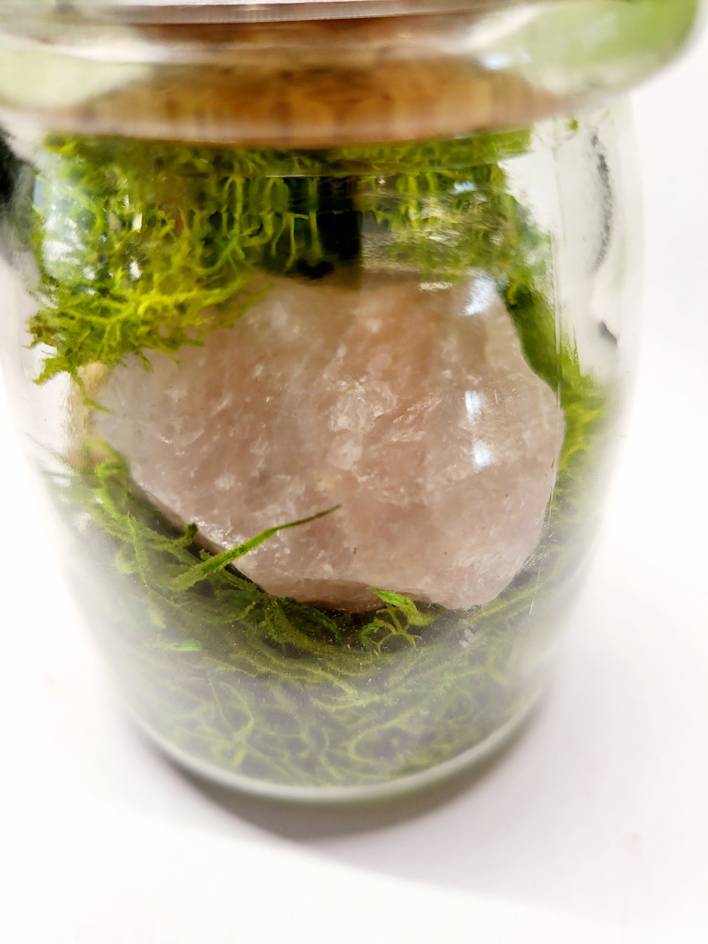 Rose Quartz Glass Terrarium with Break Your Own Geode