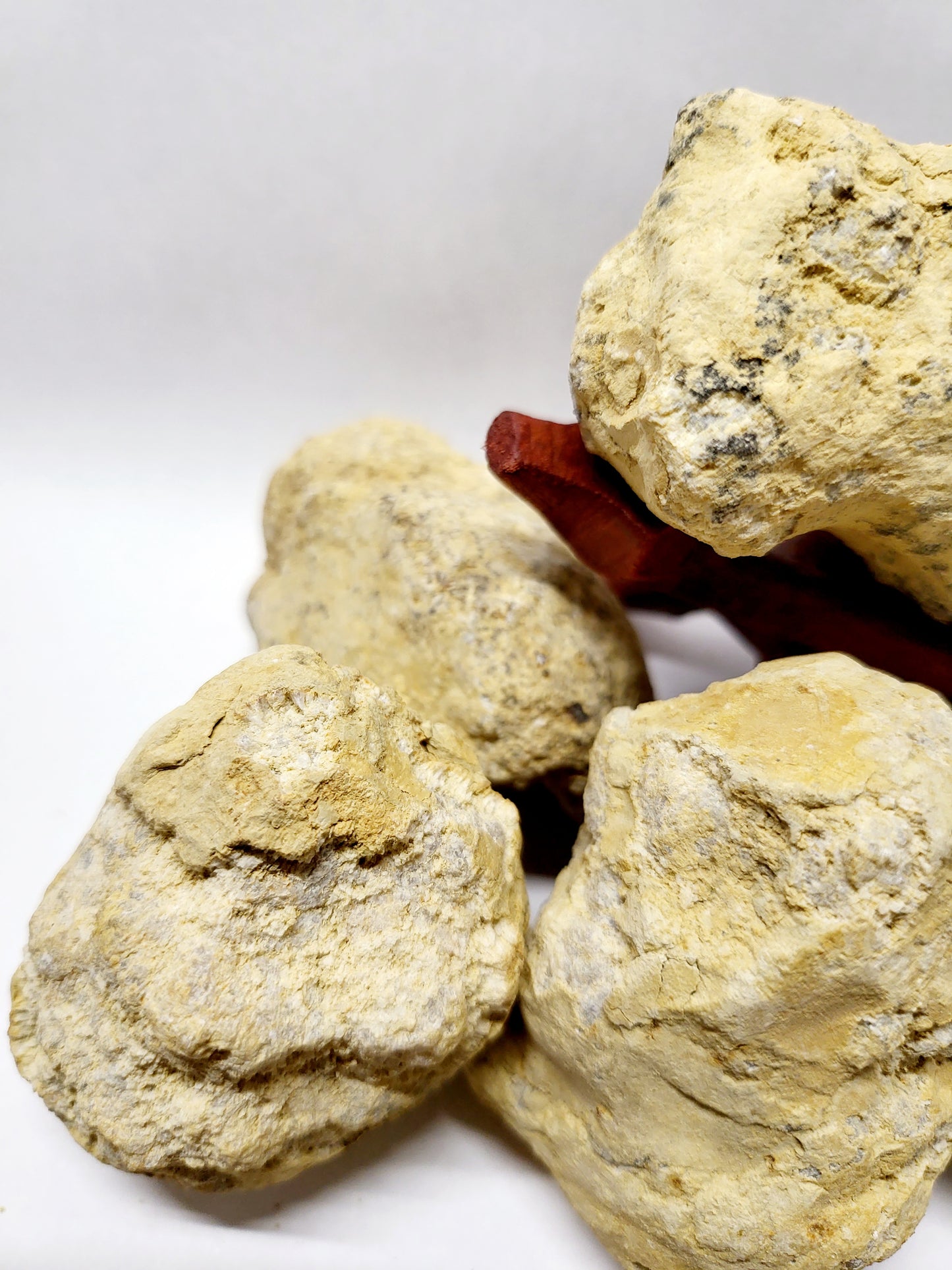Break Your Own Geode 5 Pack