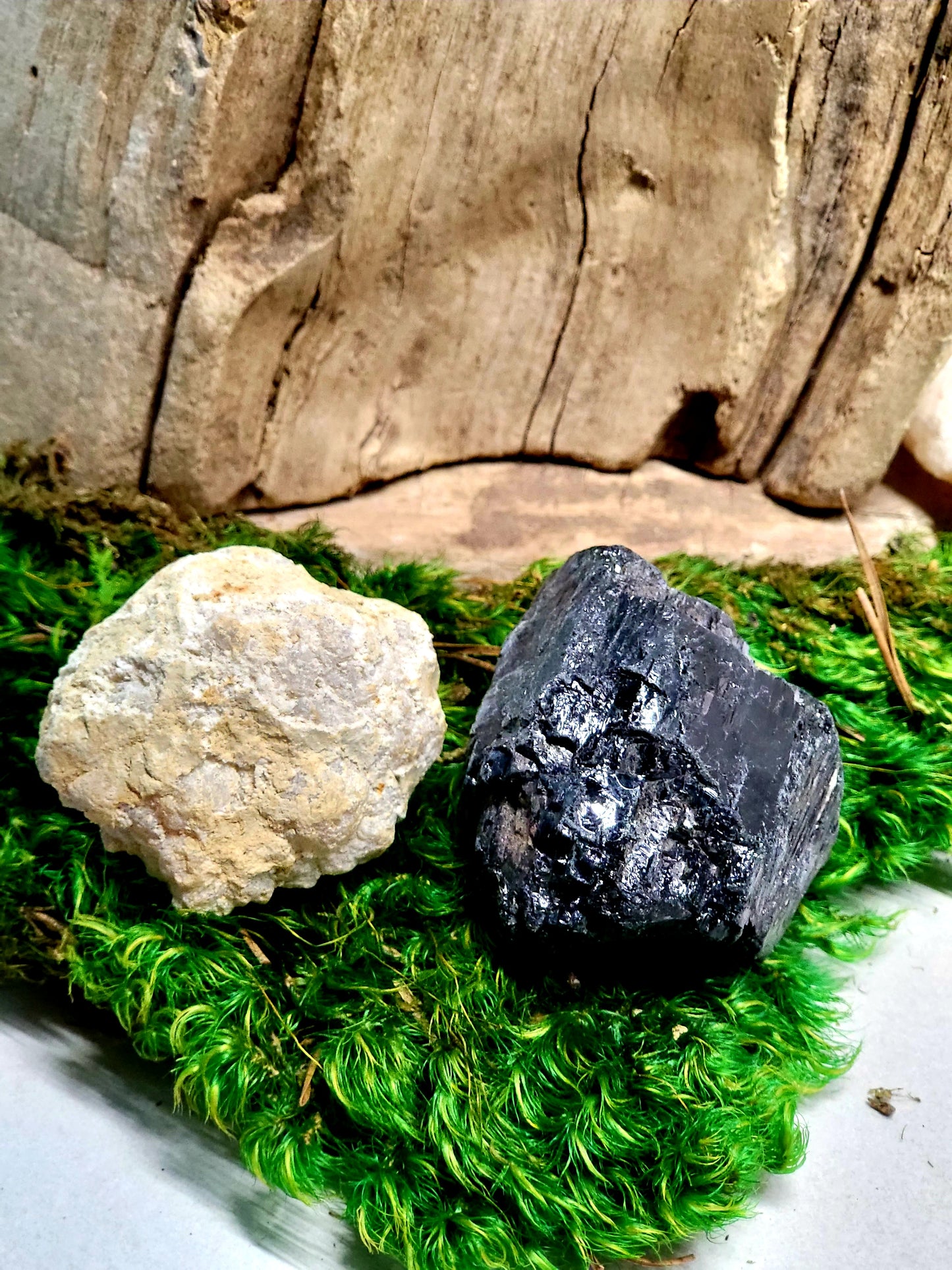 Black Tourmaline Glass Terrarium with Break Your Own Geode