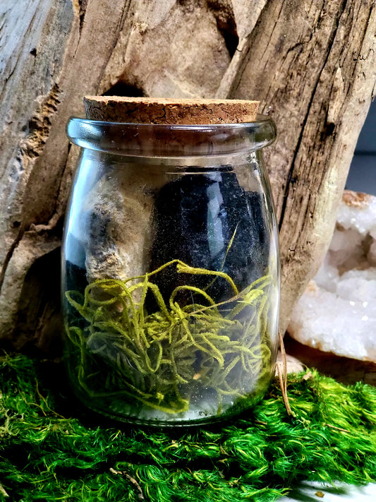 Black Tourmaline Glass Terrarium with Break Your Own Geode