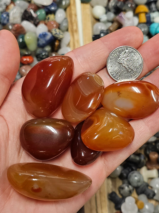 $3.25 Carnelian Tumble
