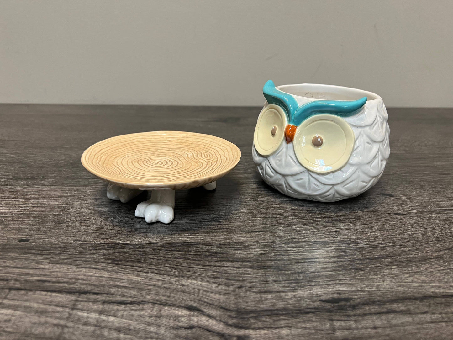 Hoots the Owl Ceramic Footsie Planter