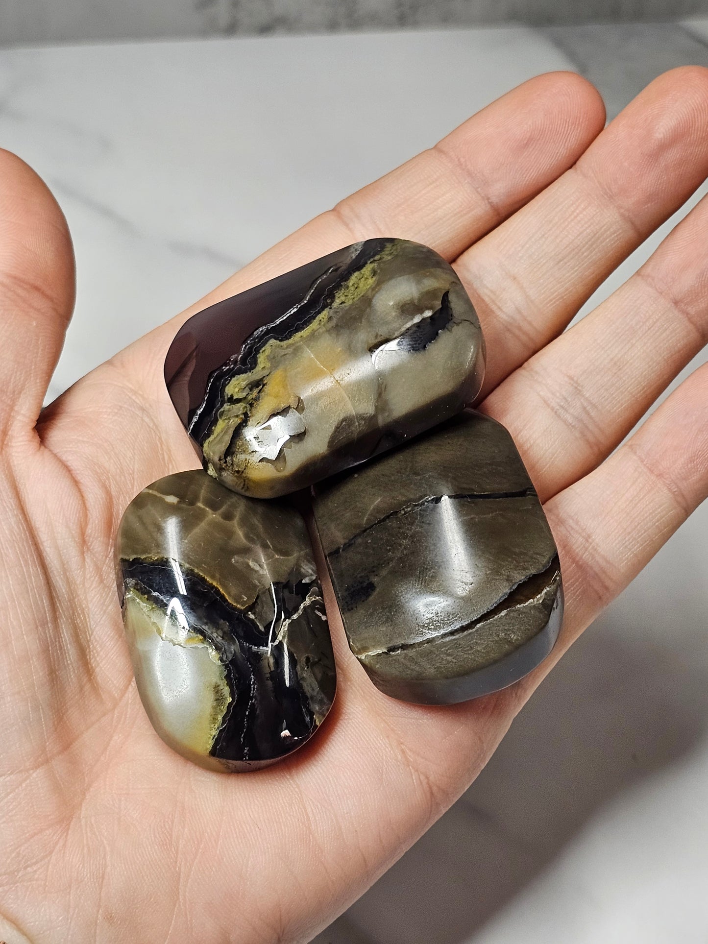 Volcanic Agate Palm Stone Small