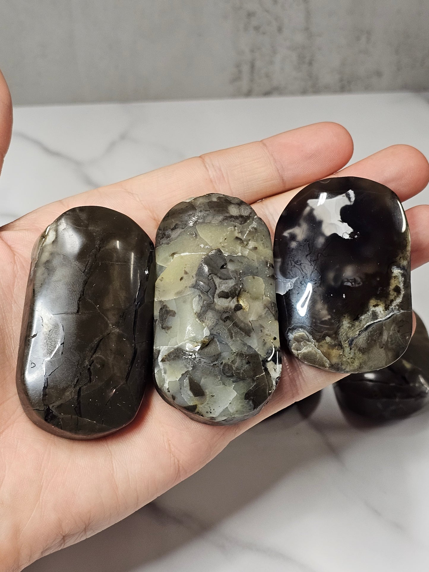 Volcanic Agate Palm Stone Large