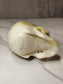 White Jade Skull Carving