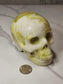 White Jade Skull Carving
