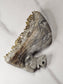 Citrine Cluster Squirrel Carving