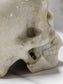 White Jade Skull Carving