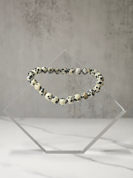 Dalmatian Jasper Stretchy Bracelet