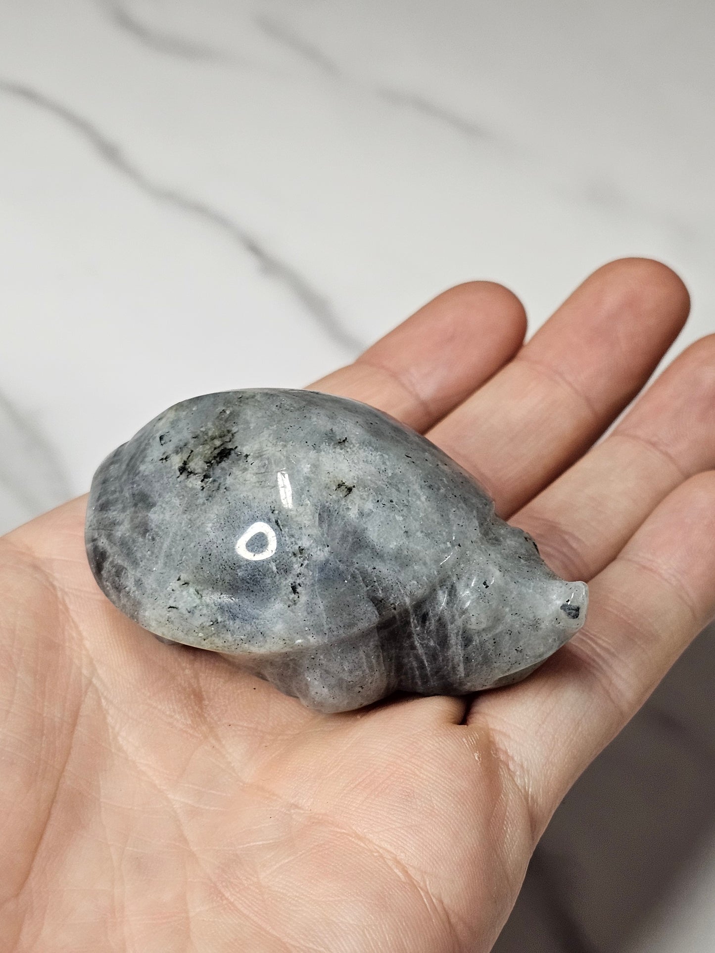 Labradorite Sea Turtle Carving