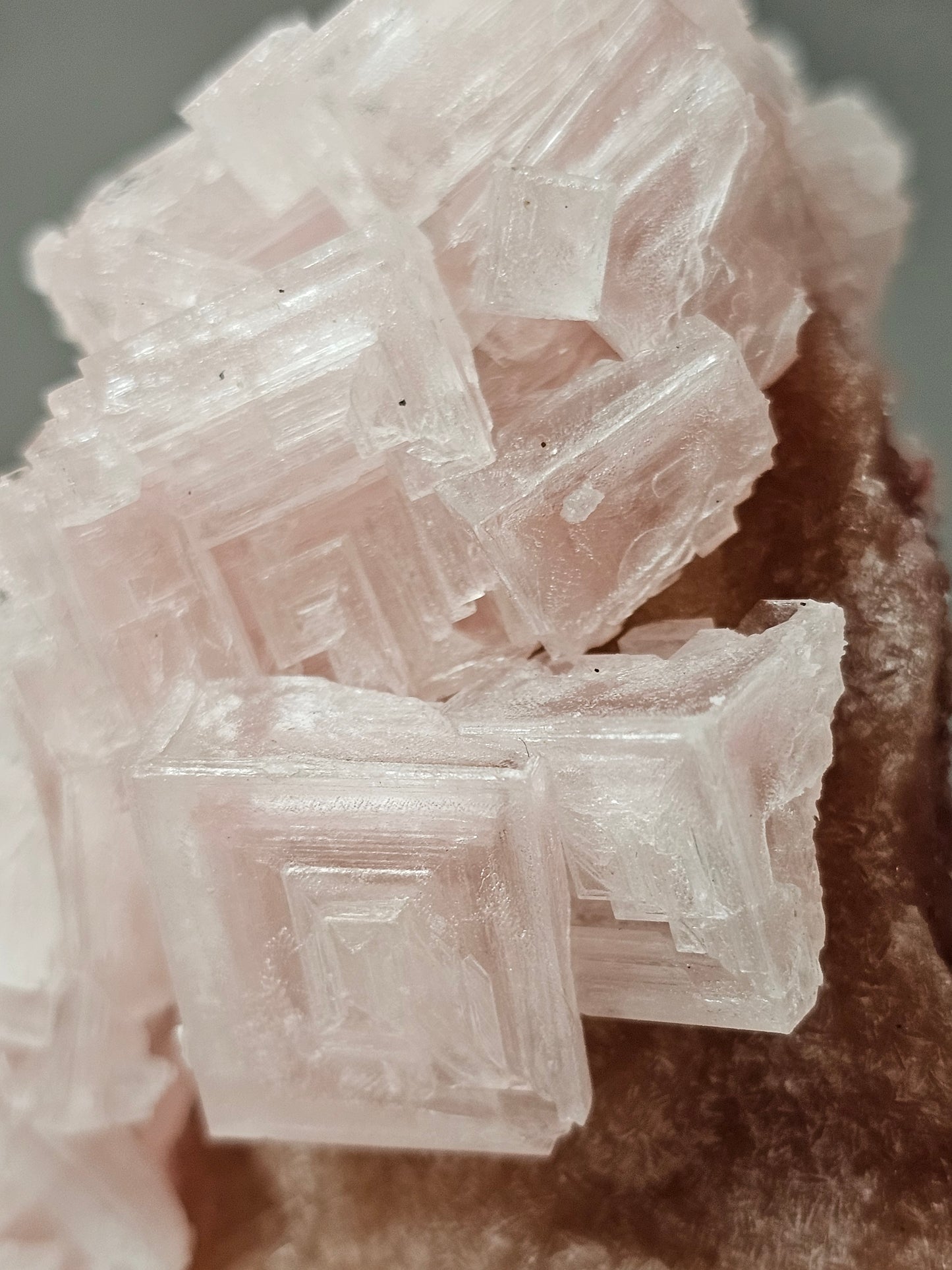 Pink Halite Specimen