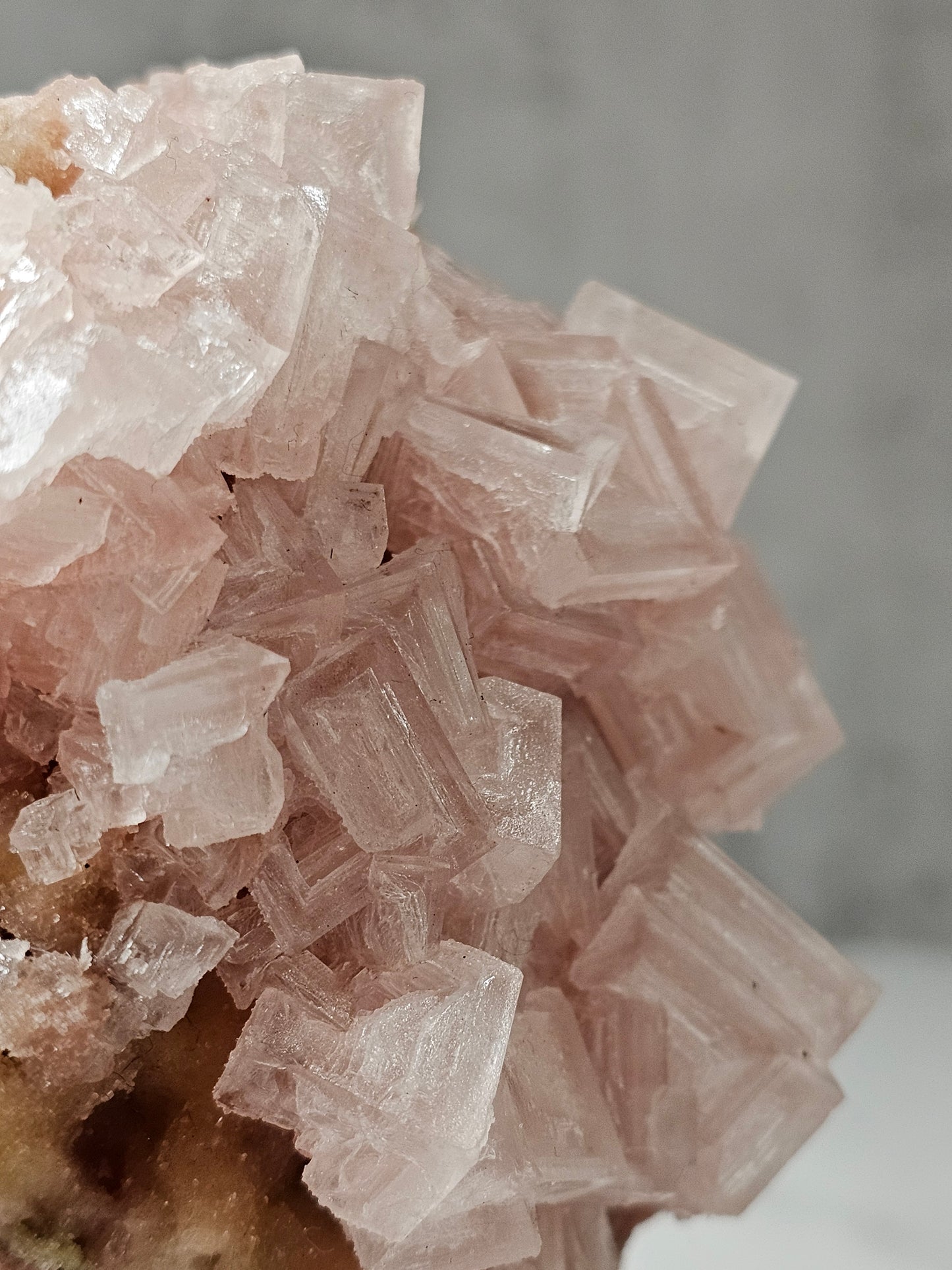 Pink Halite Specimen