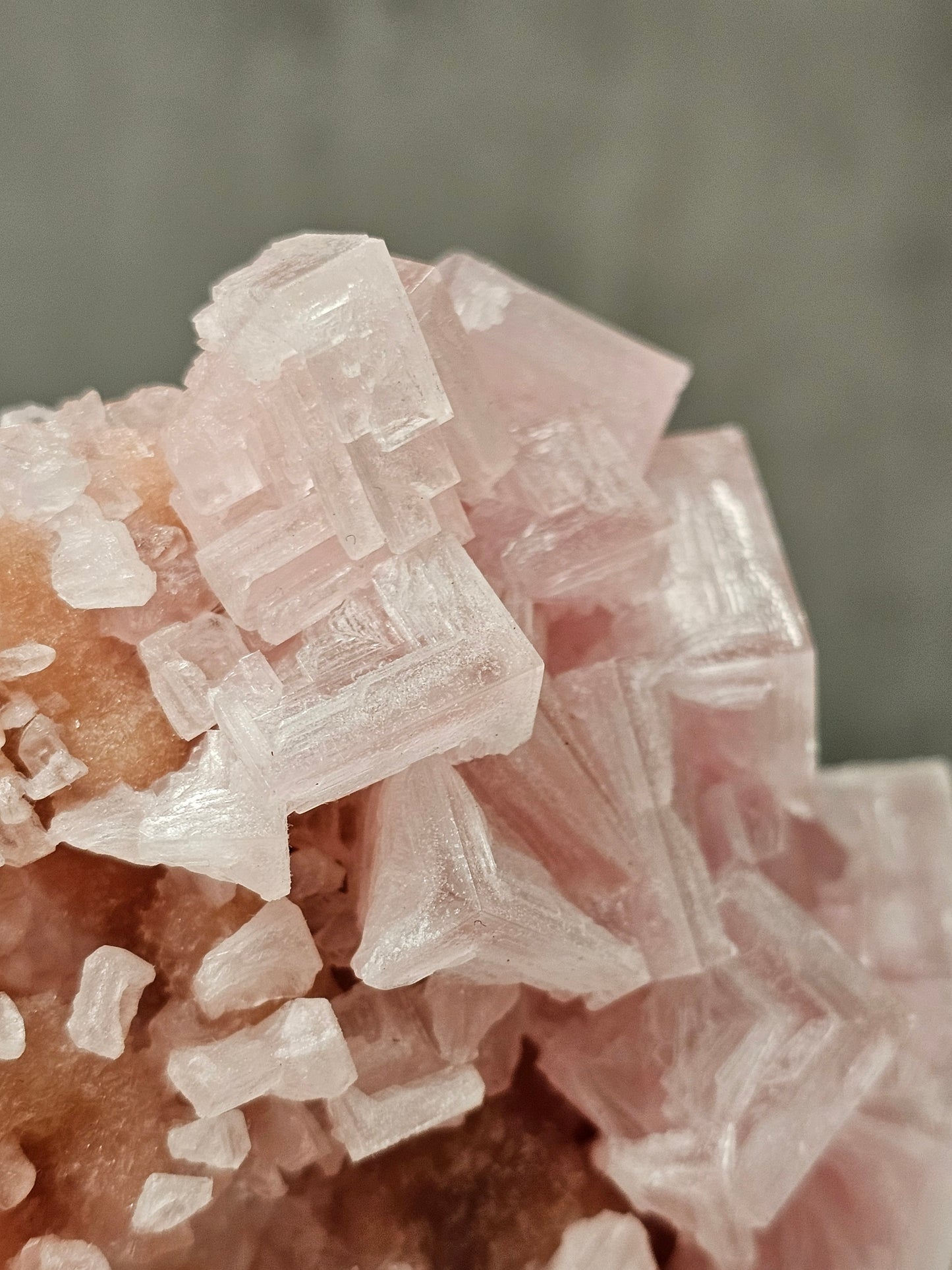 Pink Halite Specimen