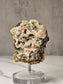 Epidote Quartz Specimen