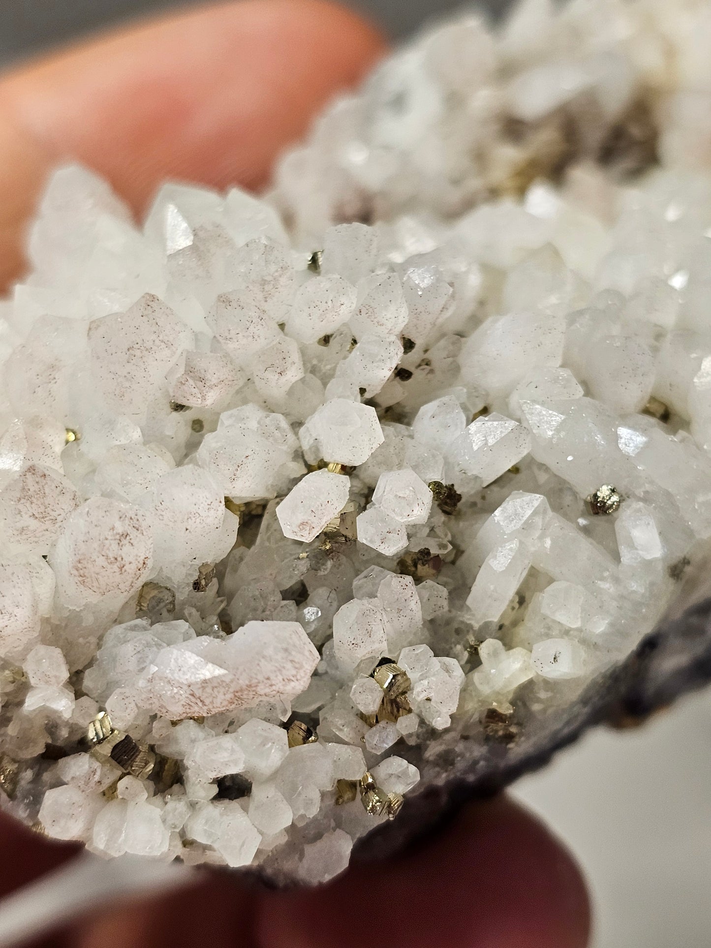 Pyrite on Quartz Specimen