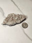 Pyrite on Quartz Specimen