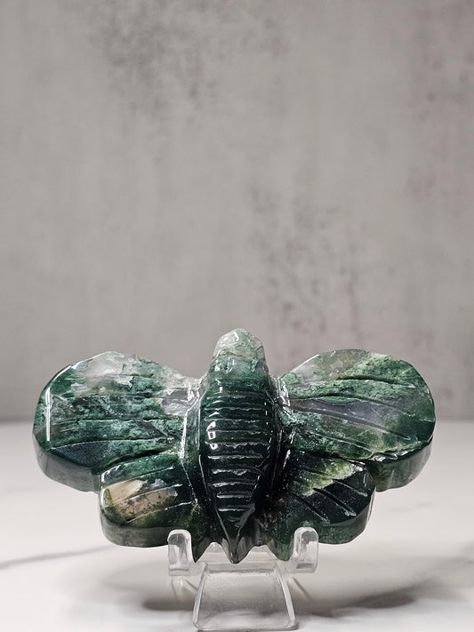 Moss Agate Moth Carving