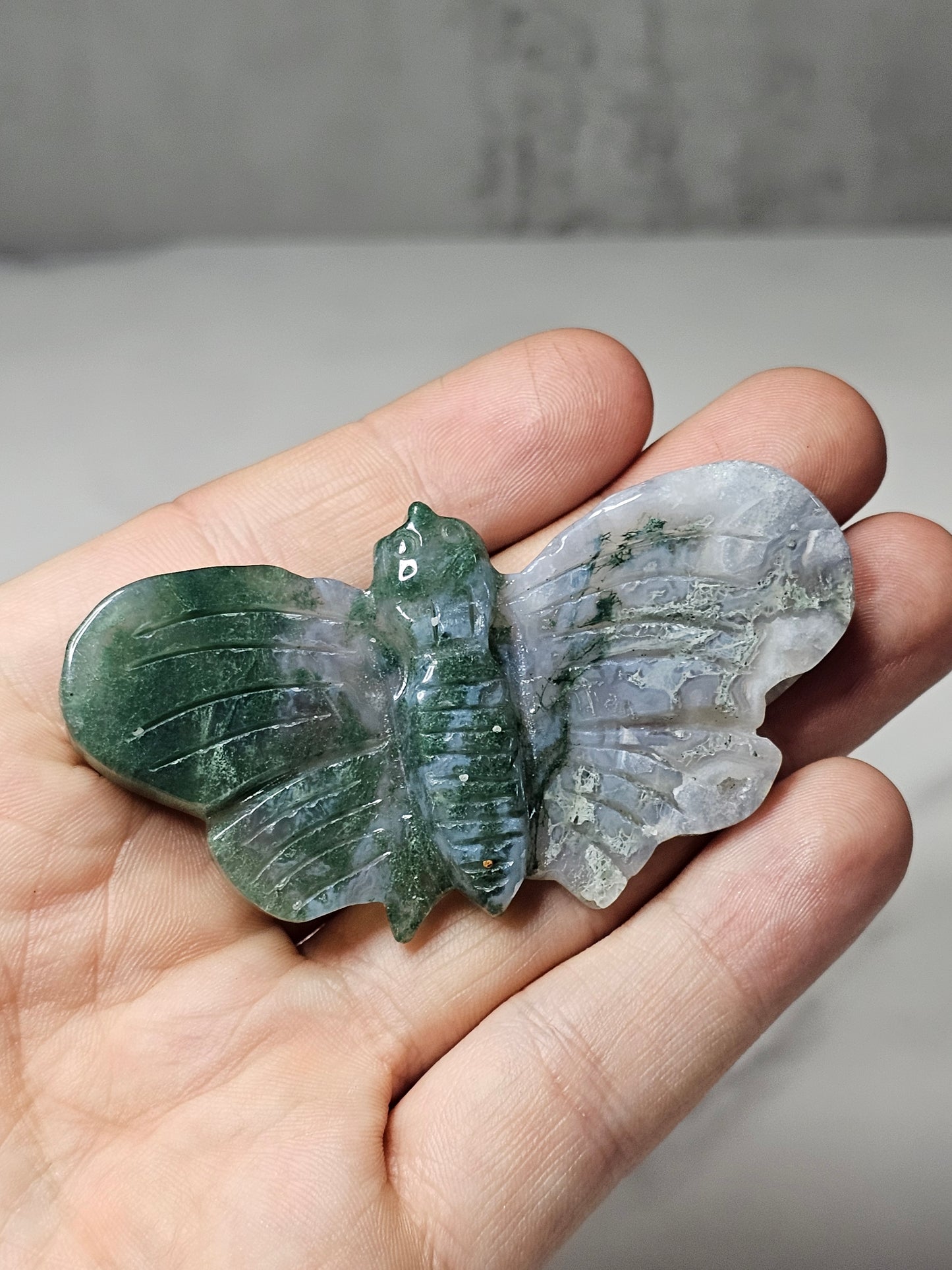 Moss Agate Moth Carving