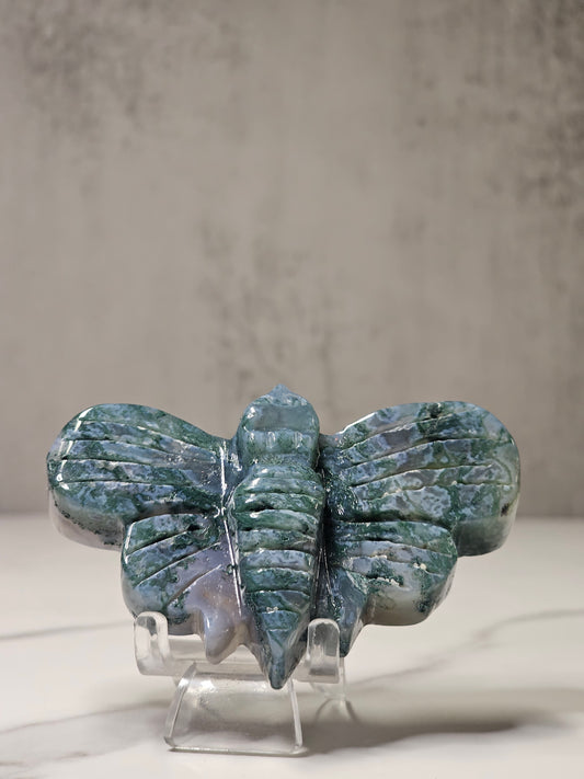 Moss Agate Moth Carving