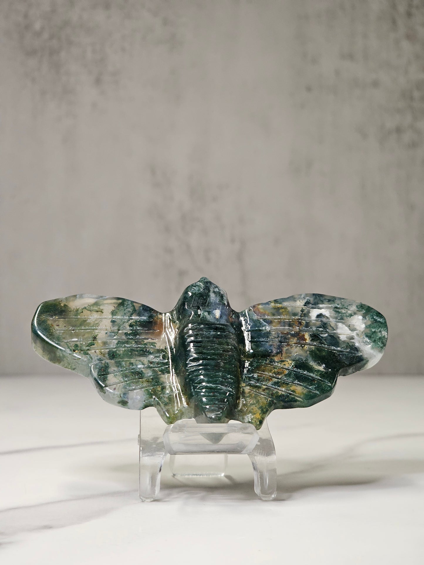 Moss Agate Moth Carving